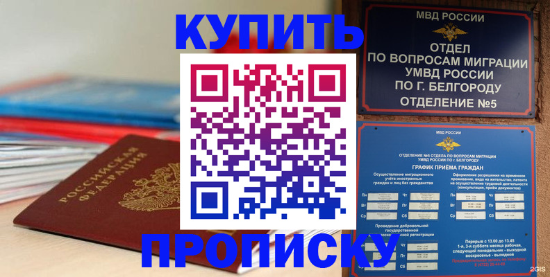 прописка для работы в Асино